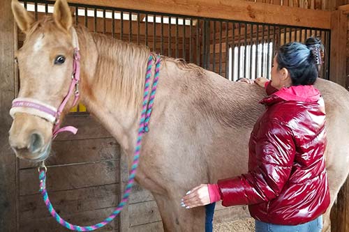 reiki services private sessions