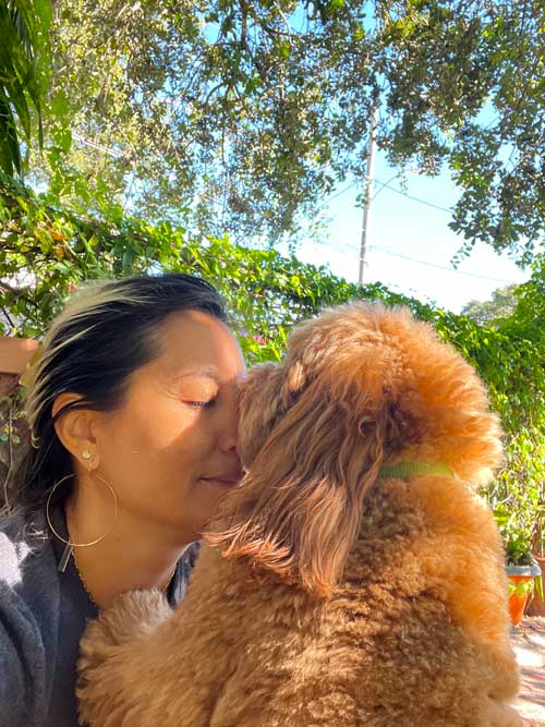 about me 02 howlingom