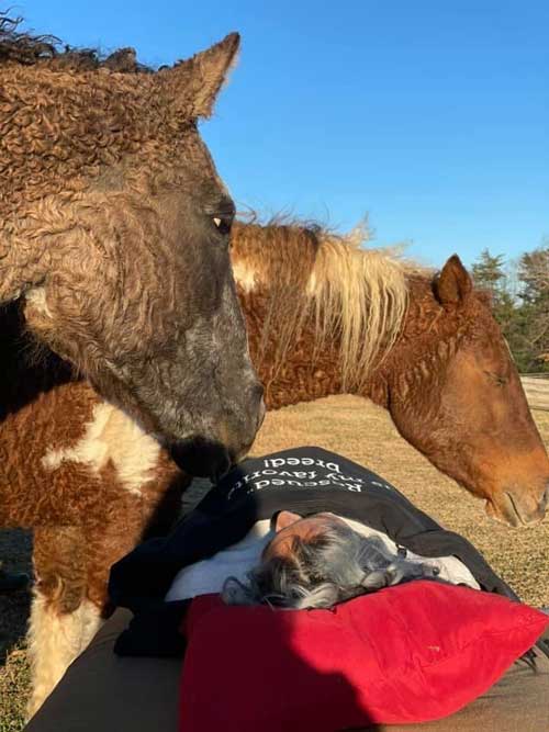 about me 5 - howlingom - pet & animal reiki